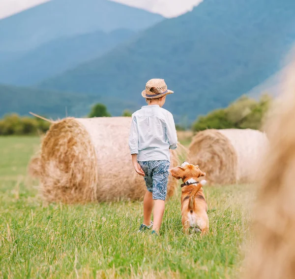 Junge Geht Mit Beagle Hund Auf Grüne Bergwiese Mit Heuhaufen — Stockfoto