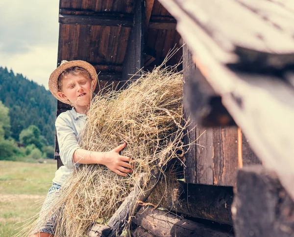 男の子は干し草をハイロフトに入れる — ストック写真