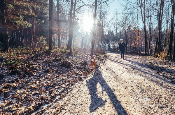 Kvinna Promenader Aktiv Med Hund Fryst Park — Stockfoto