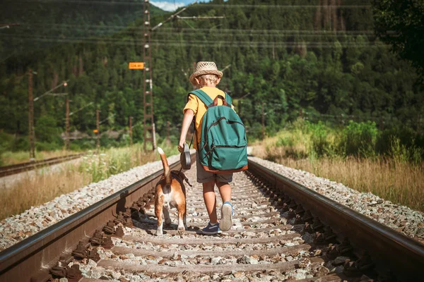 森の中の空の鉄道の上にビーグル犬とリュックを歩く男の子 — ストック写真