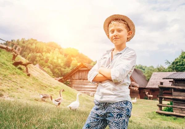 Chlapec Ovčák Husy Venku — Stock fotografie