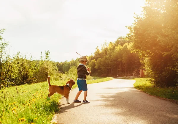 夏の夜は田舎道で遊ぶ男の子と犬 — ストック写真