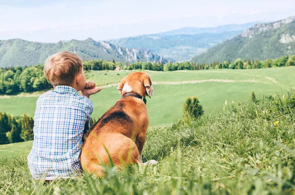 Αγόρι Και Σκύλος Beagle Απολαύσετε Όμορφο Τοπίο Κοιλάδα Του Βουνού — Φωτογραφία Αρχείου