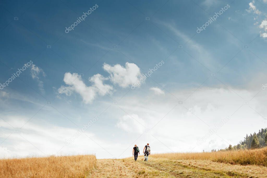 Two mans walk on golden field under blue sky