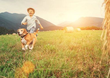 Çocuk ve köpek samanlıklarla birlikte sahada koşuyorlar.