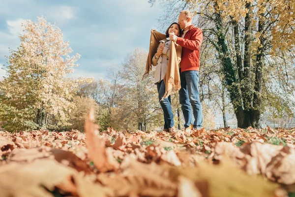 Szerelmesek Romantikus Időtöltése Autumn Parkban — Stock Fotó