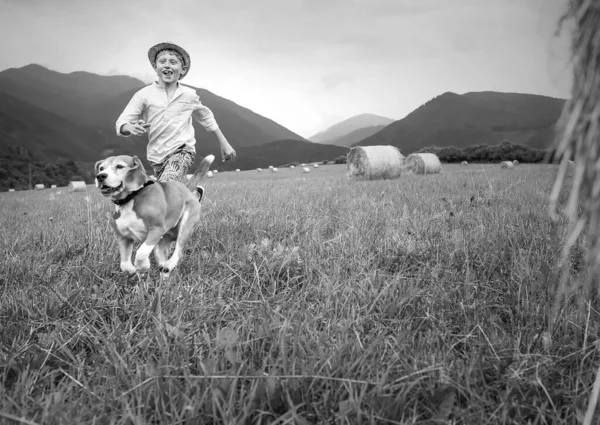 Мальчик Собака Бегают Вместе Полю Стогами Сена — стоковое фото