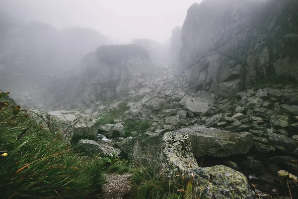 Nebelige Gebirgslandschaft Hohe Tatra Slowakische Republik — Stockfoto