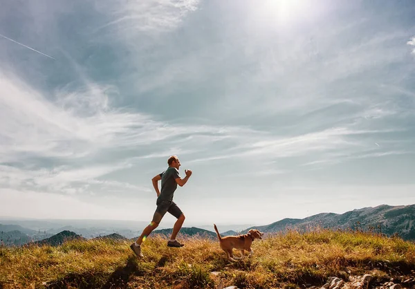 Uomo Corre Con Suo Cane Beagle Sulla Cima Della Montagna — Foto Stock