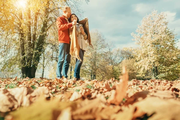 秋の公園でロマンチックな時間を過ごすカップル — ストック写真