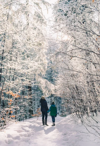 Äiti Poika Kävelevät Lumimetsässä — kuvapankkivalokuva