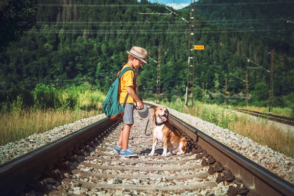 Kleine Jongen Met Hond Verblijf Spoorweg Tussen Bos — Stockfoto