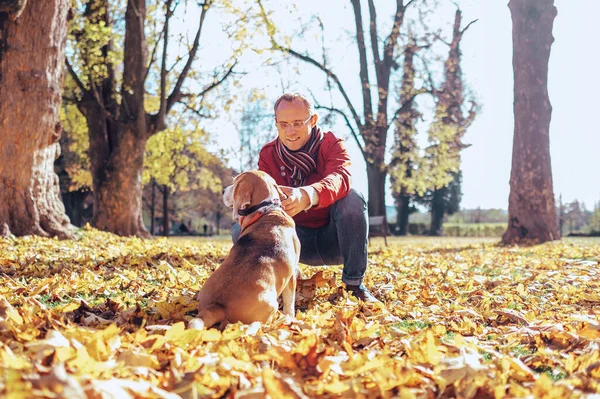 在阳光明媚的日子 人们带着他的小猎犬在秋天的公园里散步 — 图库照片