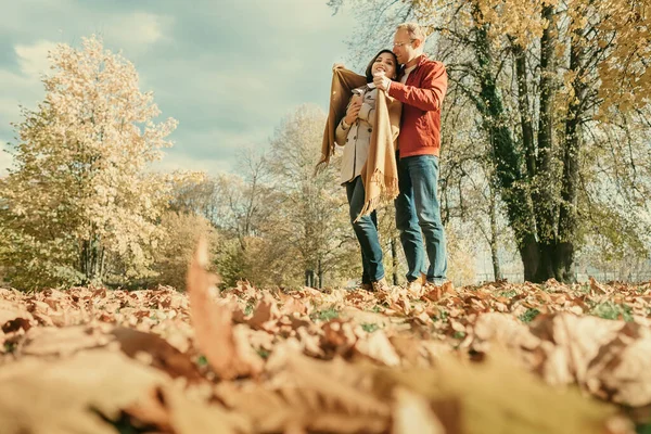 Pareja Enamorada Pasar Tiempo Romántico Otoño Park — Foto de Stock