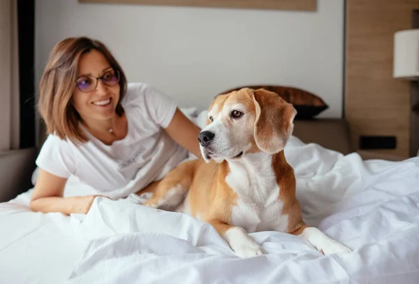 Yatakta Tembel Bir Sabah Kadın Köpeği Sabah Buluşuyor — Stok fotoğraf