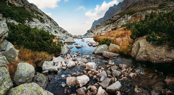 Gebirgsbach Der Hohen Tatra — Stockfoto