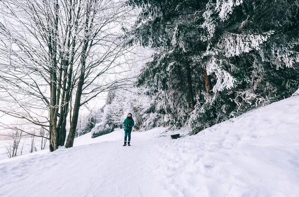 Jongenswandelingen Het Sneeuwwoud — Stockfoto