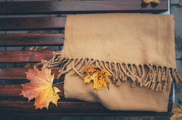 Wool Scarf Wooden Bench Rainy Autumn Park — Stock Photo, Image