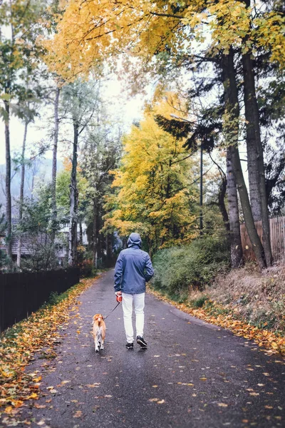 男は秋の通りで犬と歩く — ストック写真