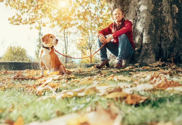 Мужчина Гуляет Собакой Солнечном Осеннем Парке — стоковое фото