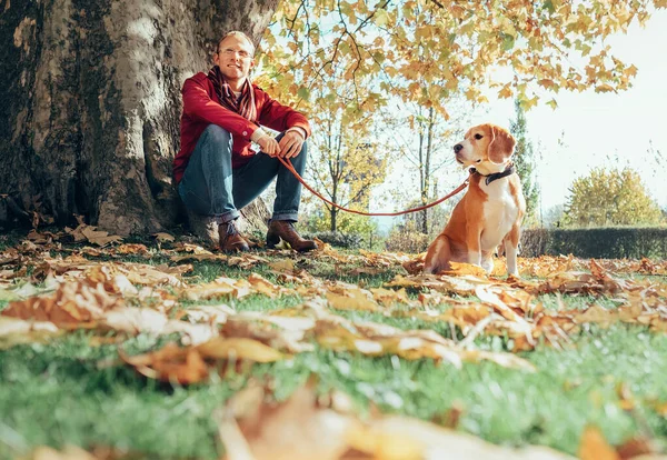 Άνθρωπος Περπατά Σκυλί Στο Ηλιόλουστο Φθινόπωρο Πάρκο — Φωτογραφία Αρχείου