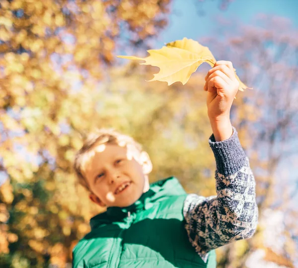 Αγόρι Κοιτάζει Φως Του Ήλιου Κίτρινο Φύλλο Σφενδάμου — Φωτογραφία Αρχείου