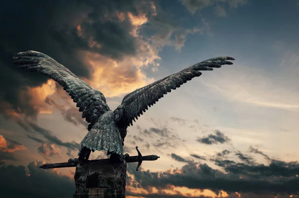 Kılıçlı Cooper Kuşu — Stok fotoğraf