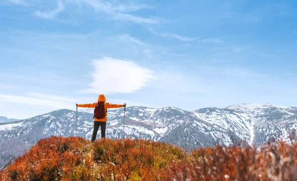 在斯洛伐克的马拉法特拉山脉 穿着鲜艳的橙色夹克背包客走在旅游小径上 使用远足杆子 春天的时候 红色的蓝莓地覆盖着群山 前景广阔 — 图库照片
