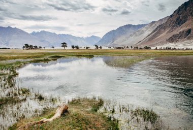 Nubra nehri vadisinde dağ, Hunder, Hindistan
