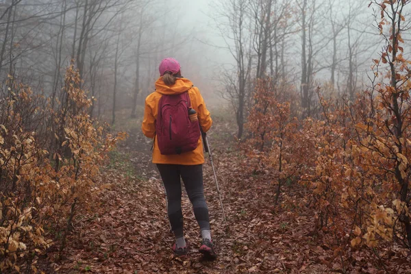活跃的人和秋季喜怒无常的度假时间观念形象 秋天雾蒙蒙的森林里 穿着鲜艳的橙色夹克 年轻的女背包客走在旅游小径上 用手杖走着 — 图库照片