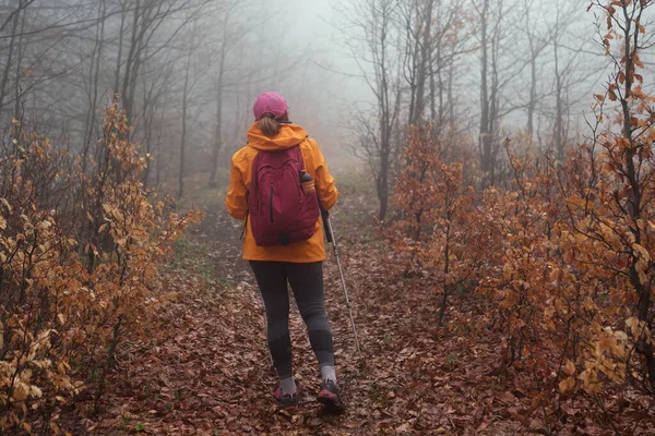 Aktive Menschen Und Herbstlich Launische Urlaubszeit Leuchtend Orangefarbener Jacke Spaziert — Stockfoto