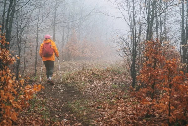 Chaqueta Brillante Naranja Vestida Joven Mochilera Caminando Por Sendero Turístico —  Fotos de Stock