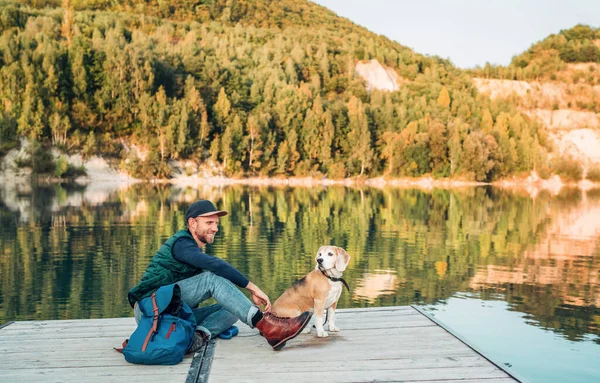 Man Hund Ägare Och Vän Beagle Hund Träpiren Fjällsjön Och — Stockfoto