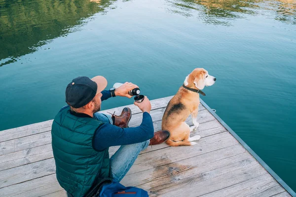 Människans Hundägare Och Vän Beagle Dog Träpiren Fjällsjön Sin Vandring — Stockfoto