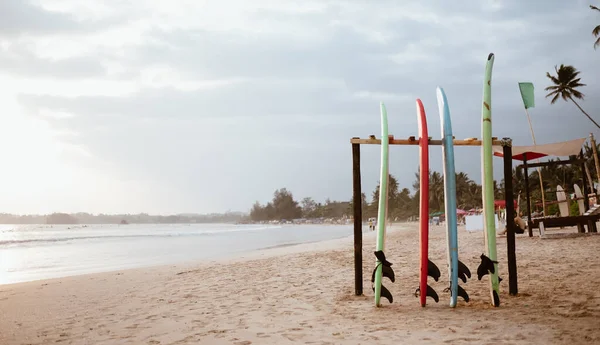 Vier Kleurrijke Surfplanken Het Brede Zandstrand Voorbereid Voor Verhuur Weligama — Stockfoto