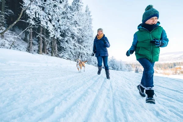 お母さんと息子は楽しんでいる 犬の散歩中に雪の森の中で野良犬と一緒に走っています 母親と息子の親戚と女性の価値観のイメージ — ストック写真