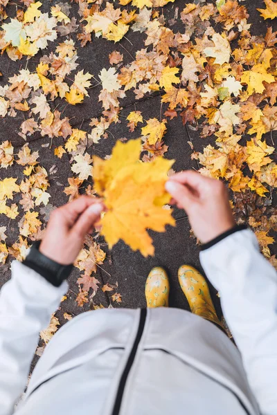 Des Palmiers Féminins Tenant Petit Bouquet Feuilles Érable Jaune Alors — Photo