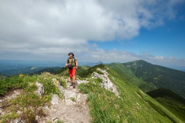 Orman ağacı tünelinde yürüyen yalnız bir kadın sırt çantasının arka görüntüsü. Camino Yolu ünlü Camino de Santiago hac yolu. Seyahat, macera, aktif yaşam tarzı konsepti