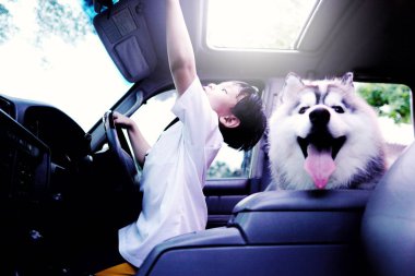Asyalı küçük çocuk araba sunroof güzel köpek doğurmak Siberian dış yapraklar ile ve doğa arka plan açık. Gülen ve mutluluğu ile yaz aylarında güzel bir çocuk. Tatil, tatil, Aile, seyahat kavramı.