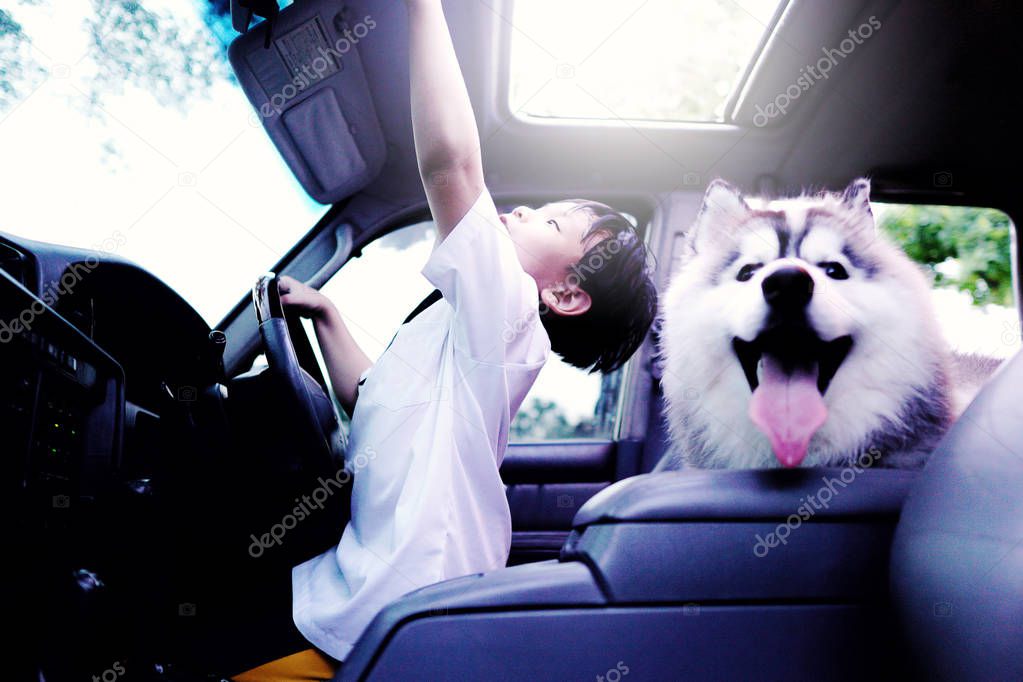 Asian little boy open the car sunroof with beautiful dog breed Siberian husky and nature background.Smiling and Happiness of cute kid in the summer.Holiday,Vacation,Family,Travel Concept.