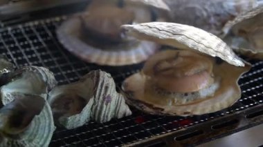 Çeşitli türlü ızgara deniz kabukları scallop(Hotate), boynuzlu türban deniz salyangoz (Sazae) ve Wakayama balık pazarı, Japan.Roasted balık duman ile sıcak ızgara balık.