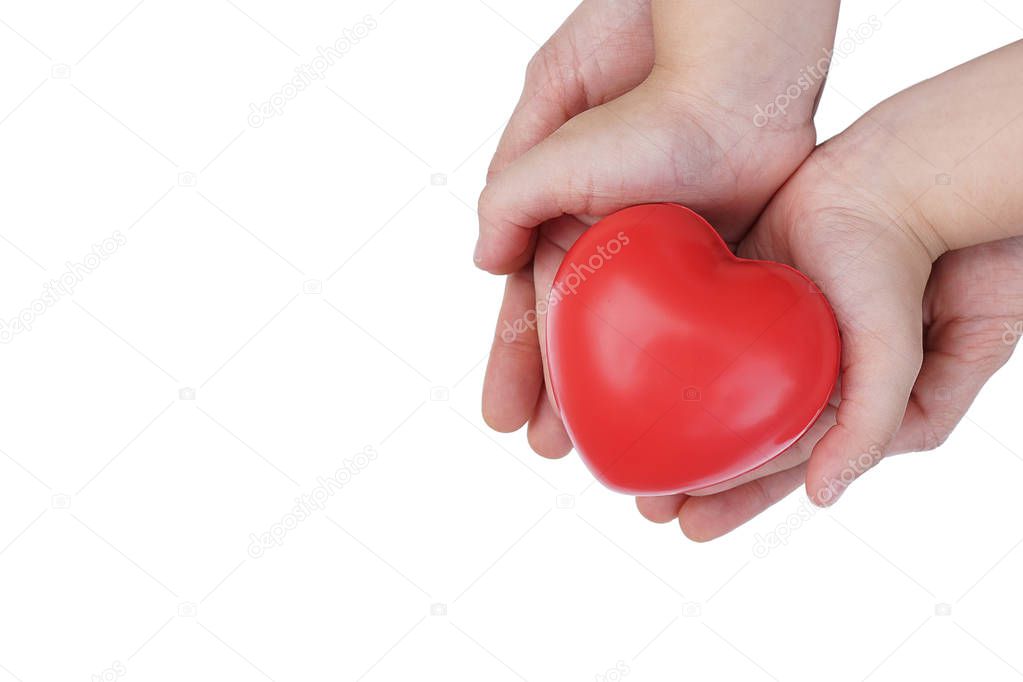 Adult and Child kid Hand holding Red Heart,Concept of Love and Health care,family insurance.World heart day, World health day.Valentine's day.isolated shape of heart on white background.