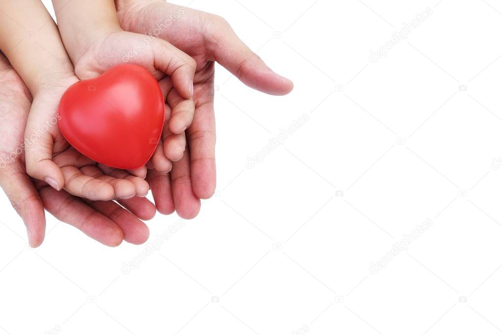 Adult and Child Hand holding Red Heart,Concept of Love and Health care,family insurance.World heart day, World health day.Valentine's day.isolated shape of heart on white background.