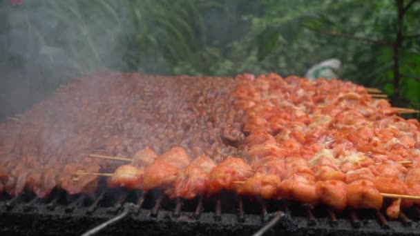 石炭で調理の煙と火で串焼きグリル バーベキュー肉 食欲をそそるモツがおいしい鶏の準備は 熱いグリルにロースト ピクニックのコンセプト — ストック動画