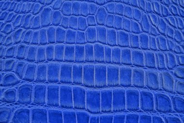 Lacivert timsah, timsah göbek yakın cilt doku kullanımı duvar kağıdı arka plan için. Lüks tasarım deseni iş ve Fashion.Top görünümü yüzey zemin için.