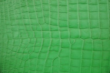 Yeşil Timsah, timsah göbek yakın cilt doku kullanımı duvar kağıdı arka plan için. Lüks tasarım deseni iş ve Fashion.Top görünümü yüzey zemin için.