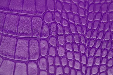 Mor timsah, timsah göbek yakın cilt doku kullanımı duvar kağıdı arka plan için. Lüks tasarım deseni iş ve Fashion.Top görünümü yüzey zemin için.