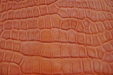 Brown timsah, timsah göbek yakın cilt doku kullanımı duvar kağıdı arka plan için. Lüks tasarım deseni iş ve Fashion.Top görünümü yüzey zemin için.