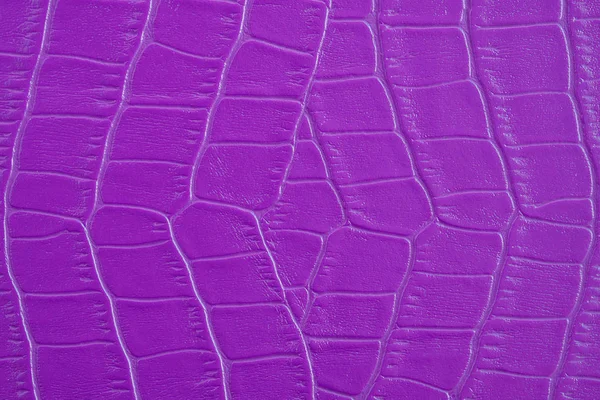 Close Crocodilo Roxo Jacaré Barriga Textura Pele Usar Para Fundo — Fotografia de Stock