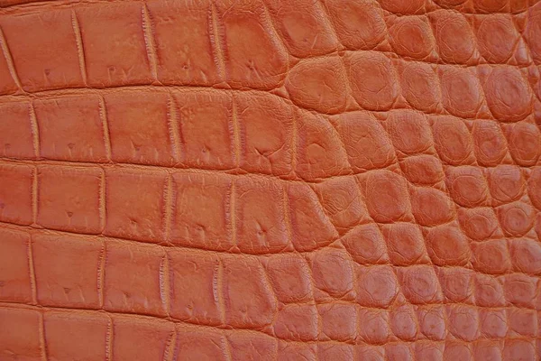 Närbild Brun Krokodil Alligator Mage Hud Textur Användning För Tapet — Stockfoto